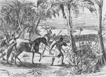 Ich sah mit unendlichem Vergnügen das große Ziel meiner Mission, - den lang gesuchten majestätischen Niger, der in der Morgensonne glitzerte, 1860